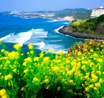 7 Địa Điểm Du Lịch Hấp Dẫn Trên Đảo JeJu