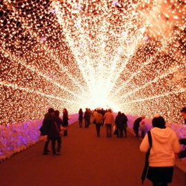 NAGOYA – NÚI PHÚ SĨ – TOKYO - HAMAMATSU - NAGOYA