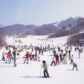 SEOUL –  NAMI -  LOTTE WORLD (Tết Dương)