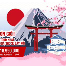 CHƯƠNG TRÌNH ĐẶC BIỆT TOKYO - PHÚ SĨ (AIR MACAU)