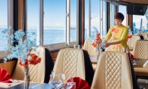 COZY BAY PREMIUM CRUISE — LUXURY DAY TRIP