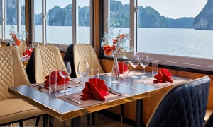 COZY BAY PREMIUM CRUISE — LUXURY DAY TRIP