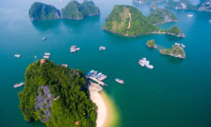COZY BAY PREMIUM CRUISE — LUXURY DAY TRIP