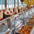 COZY BAY PREMIUM CRUISE — LUXURY DAY TRIP